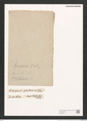Synedra radians Kuetz. (de-Toni-Nr.: Genus 66, Species 2592) Zeichnungen Sammlung Grunow (NHMW-BOT-W0373674)